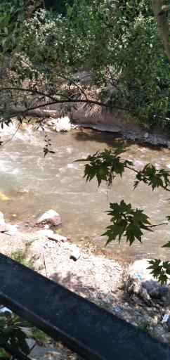 عکس رستوران رسم نو