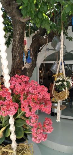 عکس رستوران رسم نو