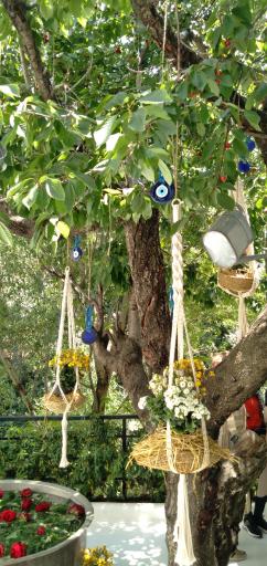 عکس رستوران رسم نو