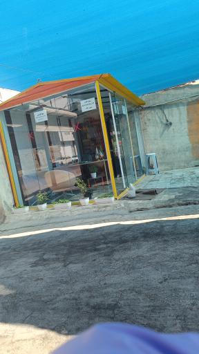 عکس کارواش بیست