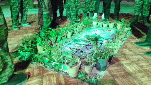 عکس بوستان ارغوان