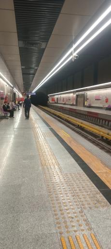 عکس دانشگاه تربیت مدرس