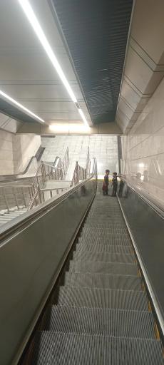 عکس دانشگاه تربیت مدرس