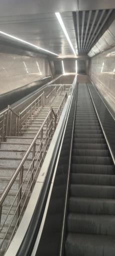 عکس دانشگاه تربیت مدرس