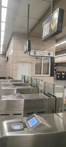 عکس دانشگاه تربیت مدرس