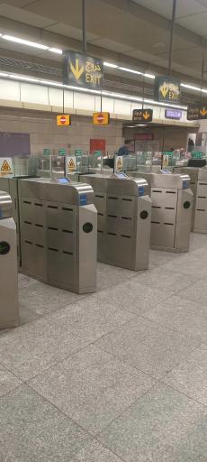 عکس دانشگاه تربیت مدرس