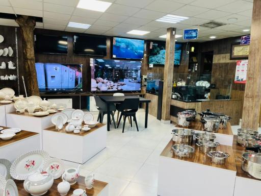 عکس شیراز زرین بازرگانی رسولی