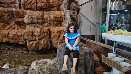 عکس هتل آزادی