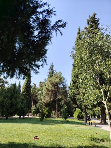 عکس بوستان ارغوان