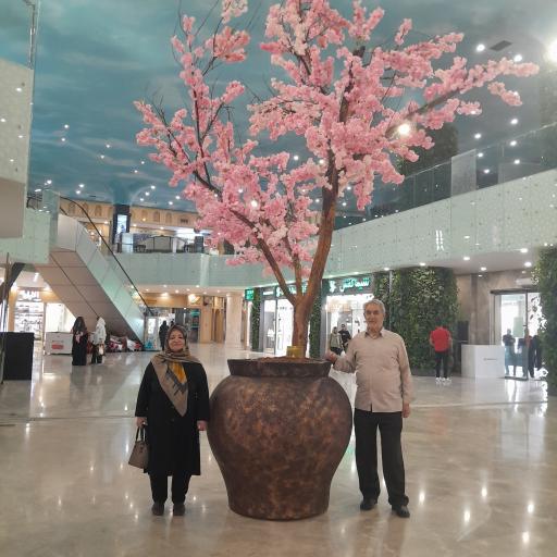 عکس مجتمع تجاری فخرآباد