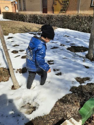 عکس بوستان فرهنگیان