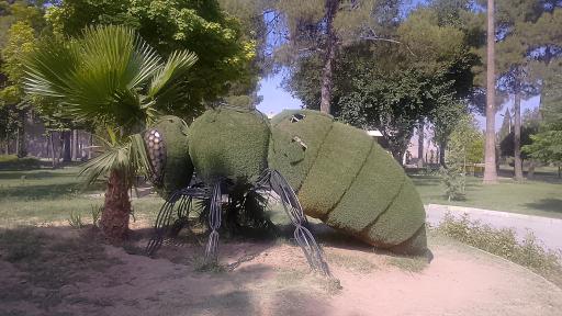 عکس بوستان ارغوان