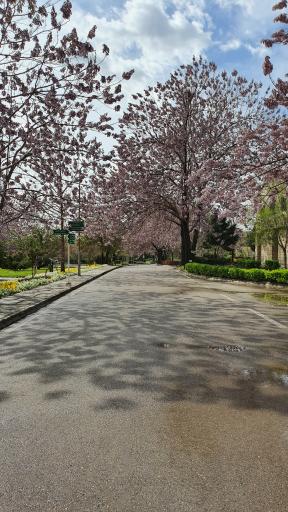 عکس گروه علوم و مهندسی خاک