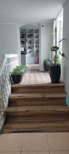 عکس شتاب دهنده لوتوس