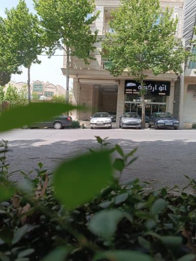 عکس اتو ارکیده 