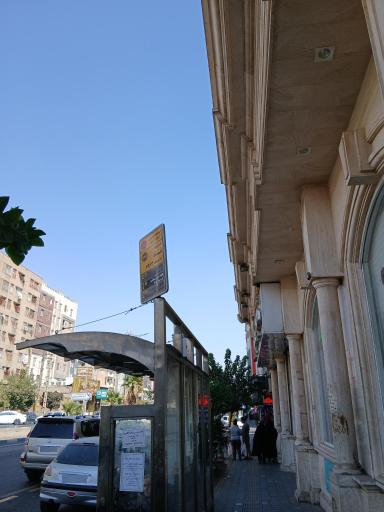 عکس ابتدای لاله