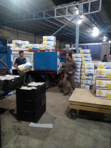 عکس میدان میوه و تره بار شاهدیه