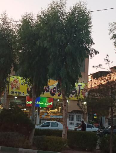 عکس آجیل سرای دستچین