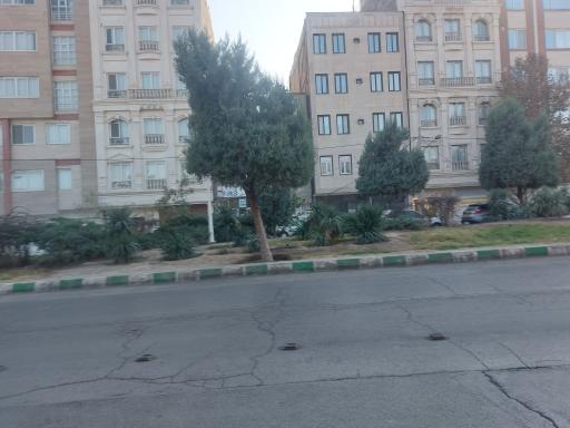 عکس فضای سبز 