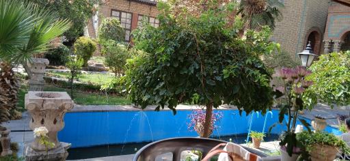 عکس کافه گرین