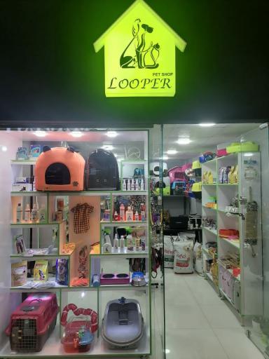 عکس پت شاپ لوپر