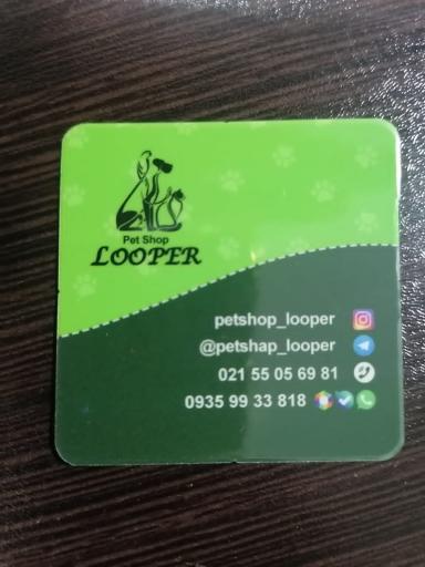 عکس پت شاپ لوپر