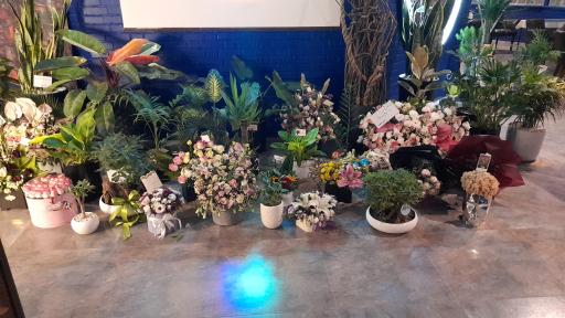 عکس کافی شاپ و فست‌ فود اُدت