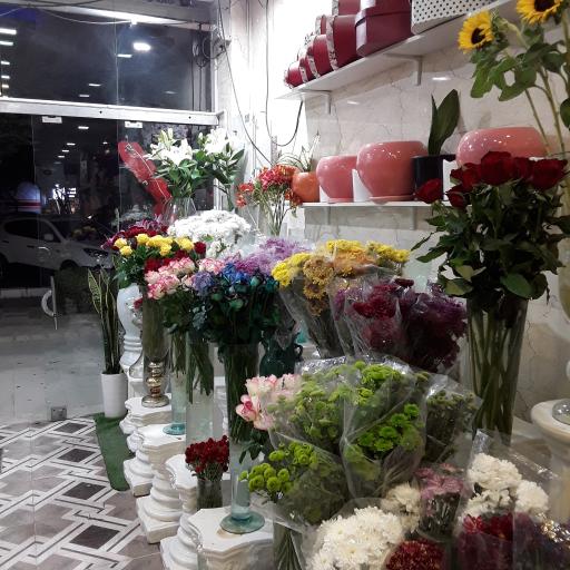 عکس سیتی گل