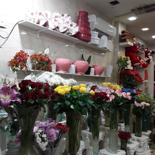 عکس سیتی گل