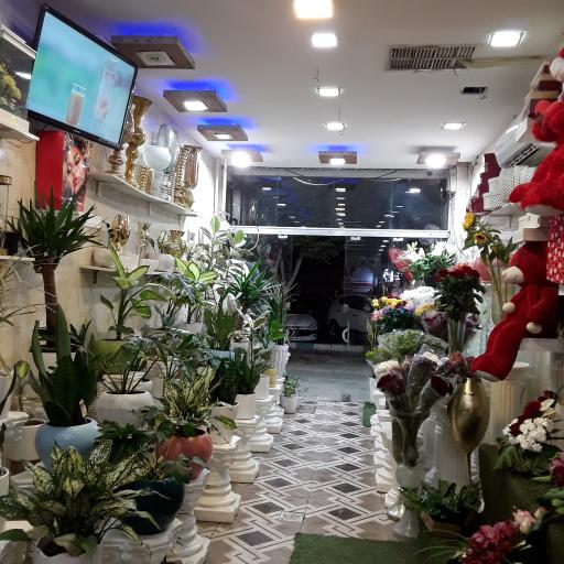 عکس سیتی گل