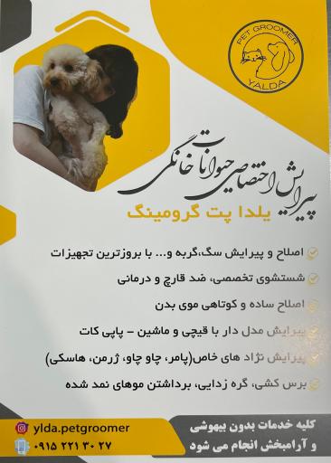 عکس آرايشگاه حيوانات خانگي يلدا
