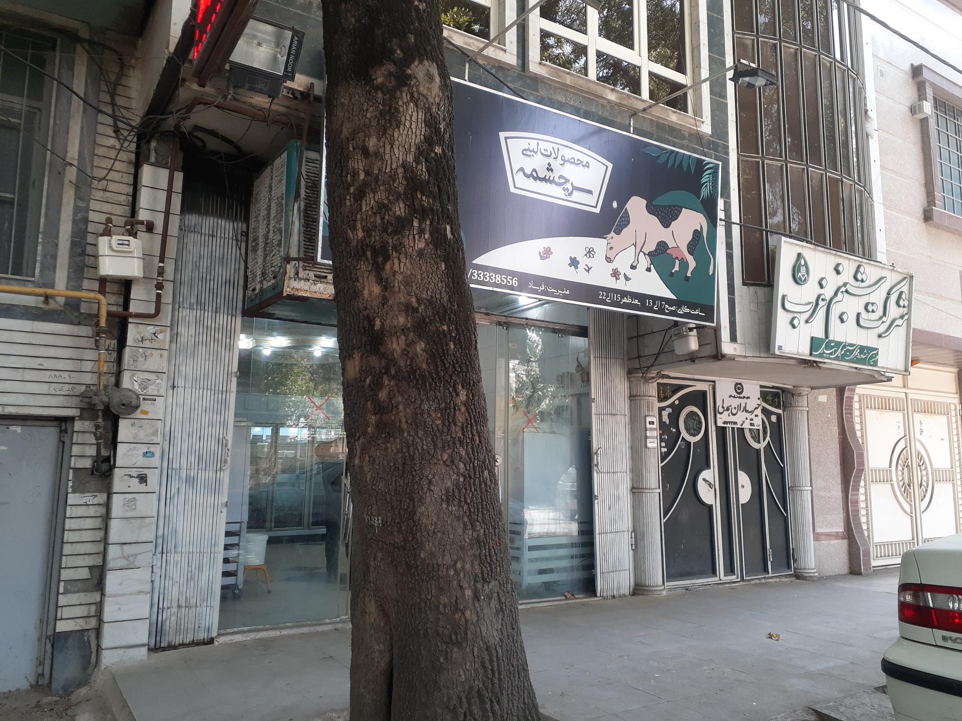 عکس محصولات لبنی سرچشمه