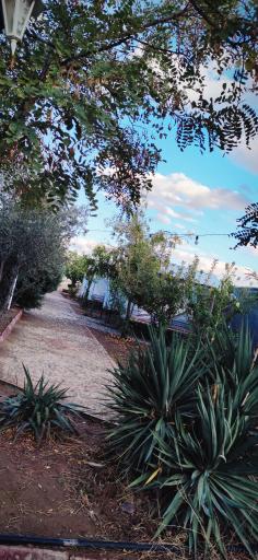 عکس باغسرای امیرشاهان