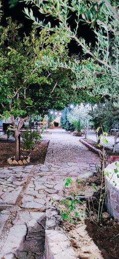 عکس باغسرای امیرشاهان