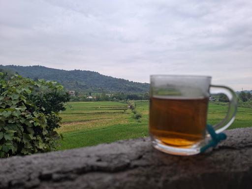 عکس شولم