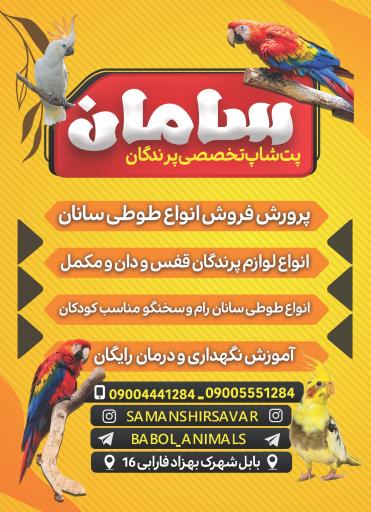 عکس پت شاپ تخصصی پرندگان سامان