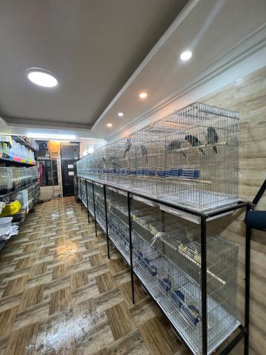 عکس پت شاپ تخصصی پرندگان سامان