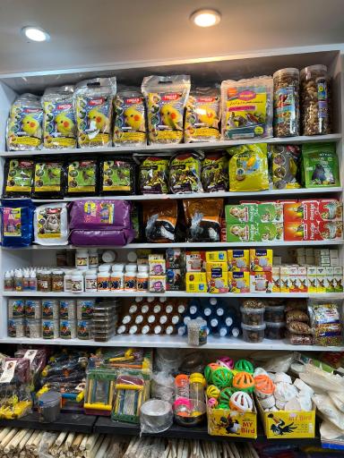 عکس پت شاپ تخصصی پرندگان سامان