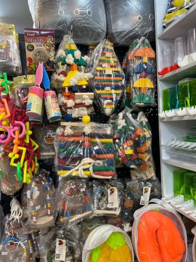 عکس پت شاپ تخصصی پرندگان سامان