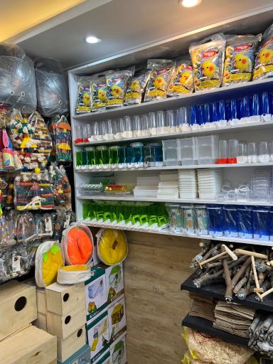 عکس پت شاپ تخصصی پرندگان سامان