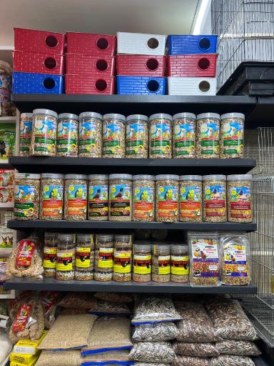 عکس پت شاپ تخصصی پرندگان سامان