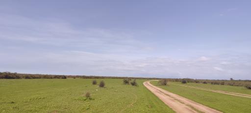 عکس پارک ملی بوجاق