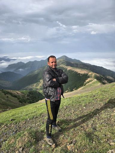 عکس شولم