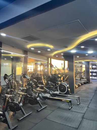 باشگاه کاج 