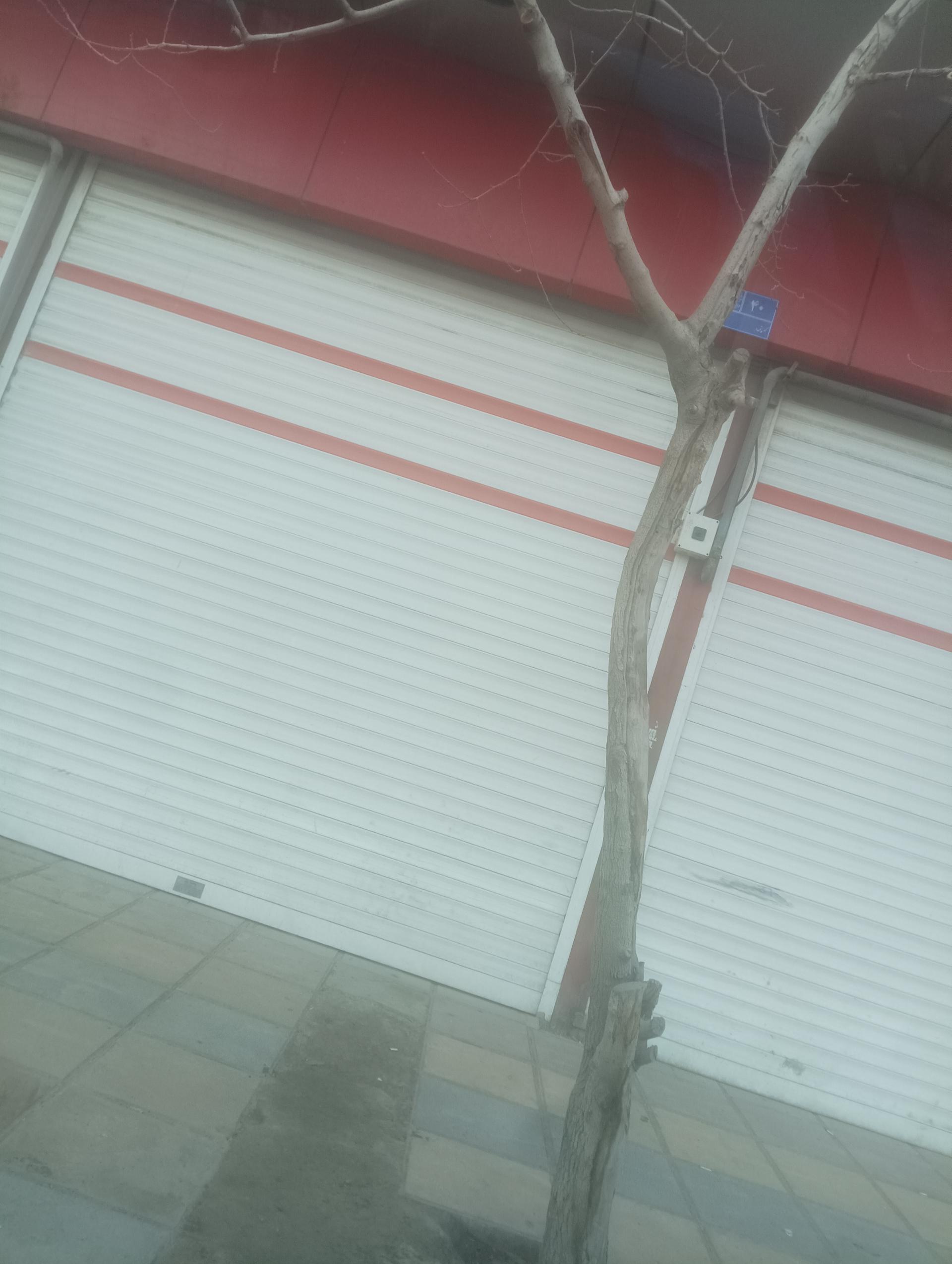 عکس باربری بهنام