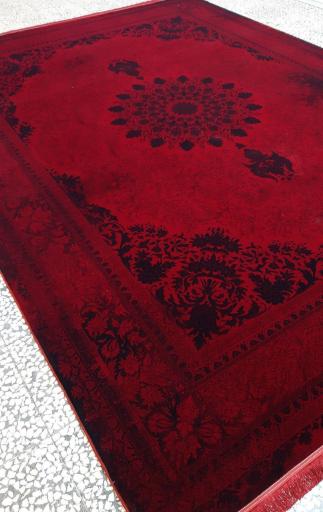 عکس فرش ساحل