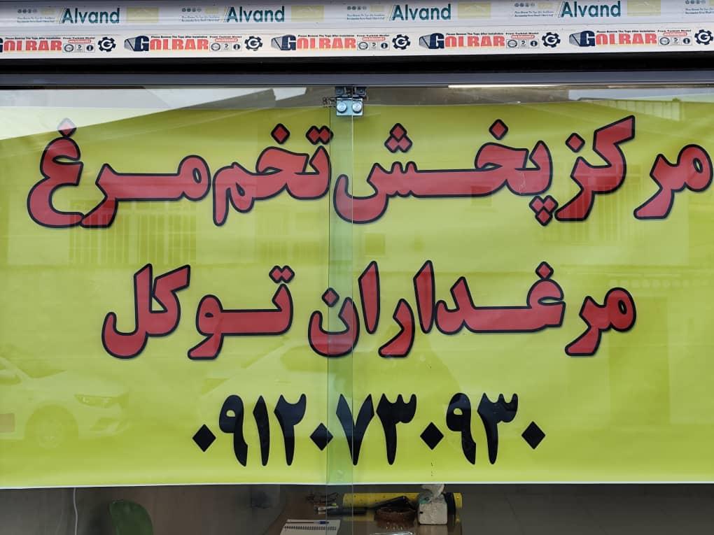 عکس شرکت پخش تخم‌مرغ مرغداران توکل 