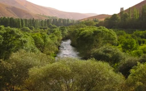 عکس بند