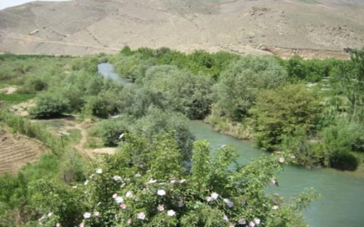 عکس بند