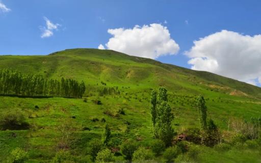 عکس بند